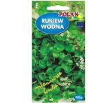 Rukiew wodna