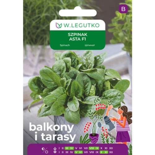 Szpinak Asta F1 Legutko 1768508205651-19785-3-xc7op.png