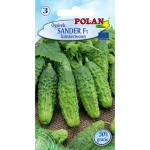 Ogórek Sander Polan