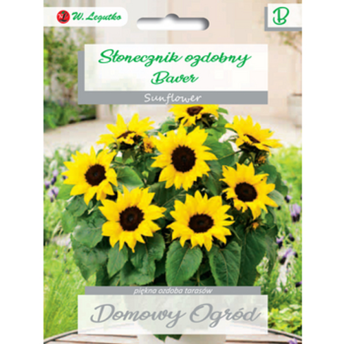 Słonecznik ozdobny Baver Legutko 1768508361708-20167-3-20w1nl.png