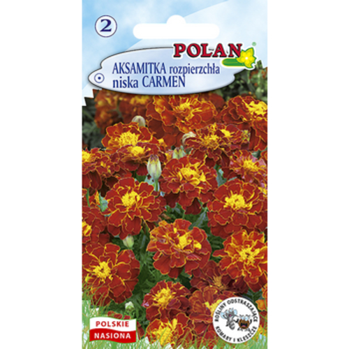 Aksamitka Rozpierzchła Carmen Polan 1768508422149-20317-3-m0uinj.png
