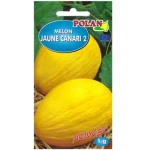 Melon Jaune Canari 2