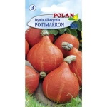 Dynia olbrzymia Potimaron Polan