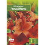 Kapers Lilium Azjatic Orange - Lilia Azjatycka Pomarańczowa 16/18 1 Szt.