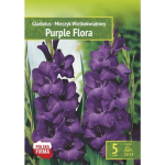 Kapers Gladiolus - Mieczyk Wielkokwiatowy Purple Flora 12/14 5 Szt.