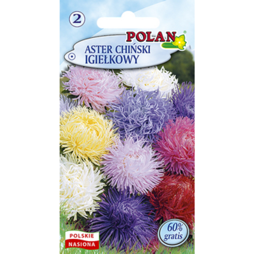 Aster Chiński Igiełkowy - mieszanka Polan 1768508637777-20820-3-24uwow.png