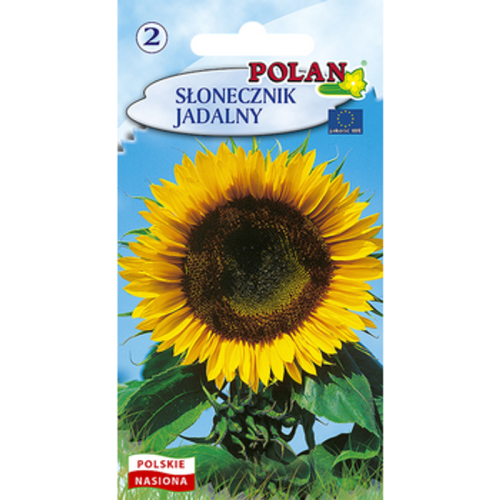 Słonecznik Jadalny Polan 1768508751210-21082-3-jvdmh.png