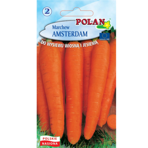 Marchew Amsterdam Polan 1768508752236-21085-3-m4fcdi.png