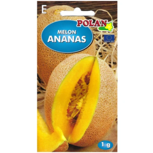 Melon Ananas 1768508774898-21137-3-vehnkq.png