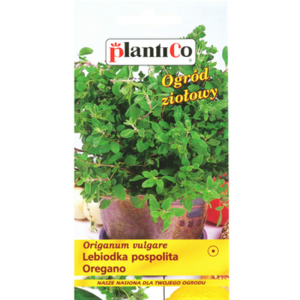 Oregano PlantiCo