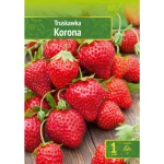Fragaria - Truskawka Korona Wybór "I" 1 Szt.