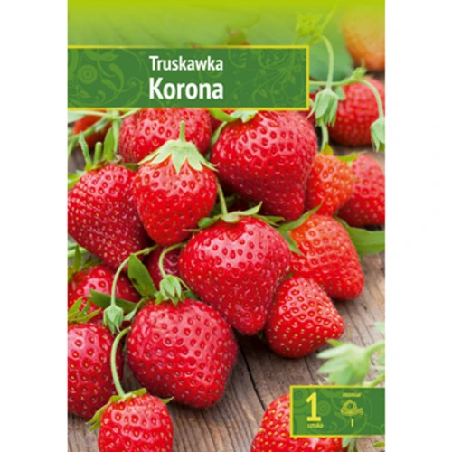 Fragaria - Truskawka Korona Wybór "I" 1 Szt. 1768508887347-21404-3-34glt.png