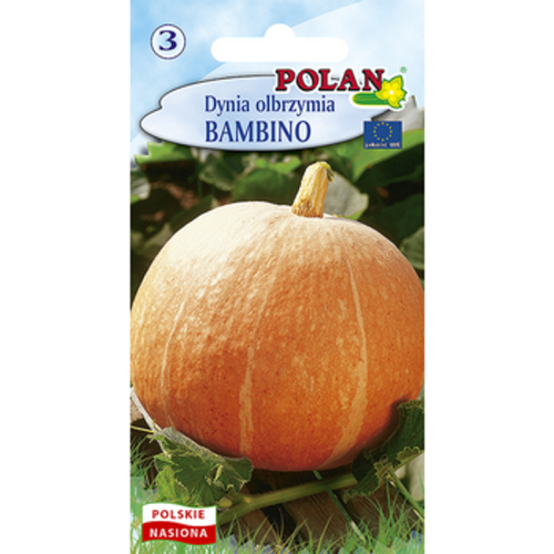 Dynia olbrzymia Bambino Polan 1768508906186-21445-3-mskv5c.png