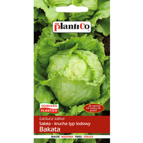 Sałata Bakata PlantiCo 1768508918393-21477-3-7yxhx.png