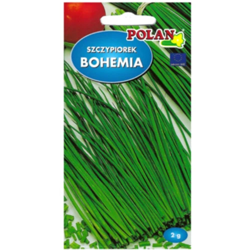 Szczypiorek ogrodowy Bohemia 1768508924296-21490-3-1yrqgh.png