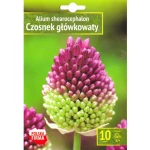 Kapers Allium - Czosnek główkowaty 5/+ 10 szt. Benex