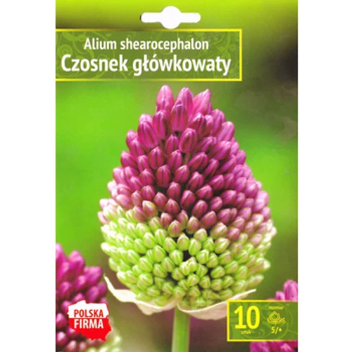 Kapers Allium - Czosnek główkowaty 5/+ 10 szt. Benex 1768508930638-21503-3-3gxss8.png