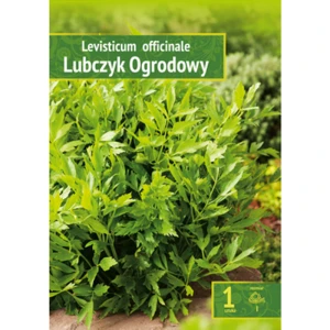 Levisticum Officinale - Lubczyk Ogrodowy Wybór "I" 1 Szt.