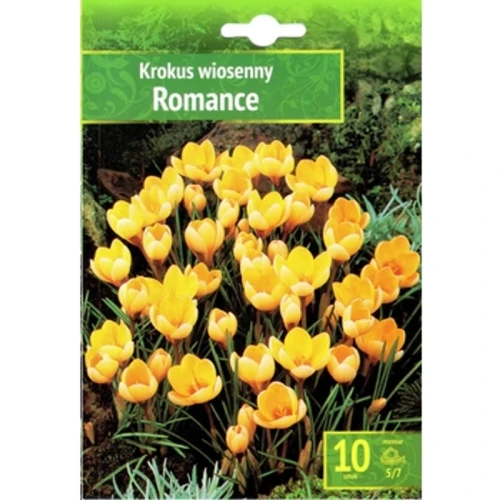 Crocus - Krokus Romance 10 SZT. 1768508987407-21640-3-xxt2c.png