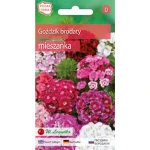 Goździk brodaty mieszanka pojedyncza 0,5g Seria bazowa Legutko