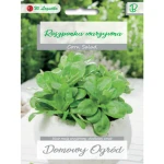 Roszponka warzywna Verte de Cambrai Legutko