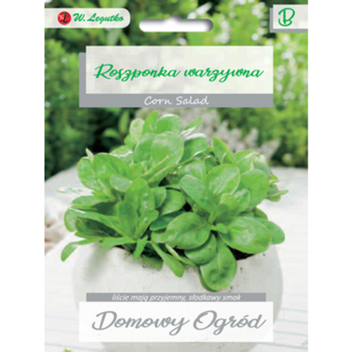Roszponka warzywna Verte de Cambrai Legutko 1768509448316-22724-3-hatopl.png