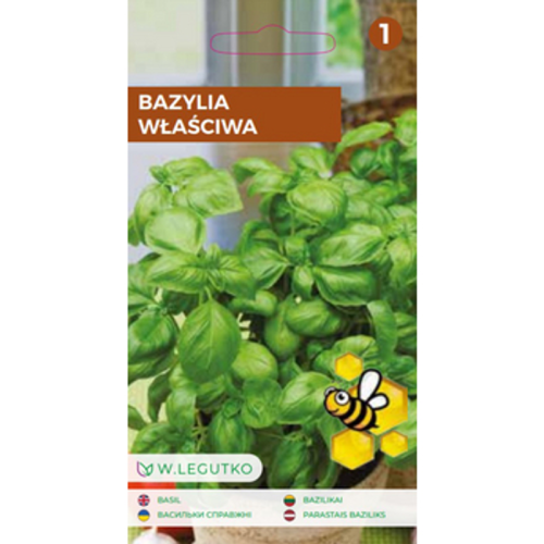 Bazylia właściwa mieszanka odmian 0,5g Legutko 1768509509554-22866-3-avmwc9.png