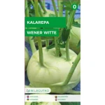 Kalarepa Wener Witte, Wiedeńska Biała - wczesna, jasnozielona 1g Seria bazowa Legutko
