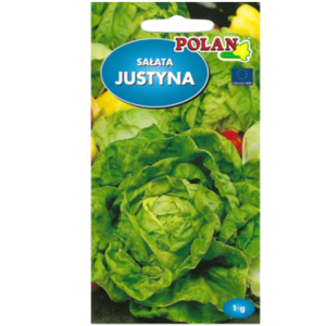 Sałata głowiasta masłowa gruntowa Justyna