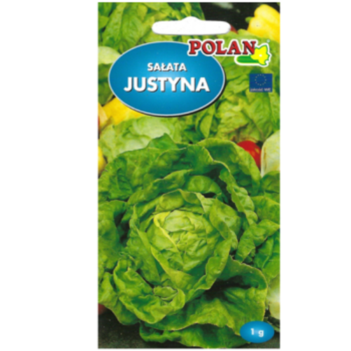Sałata głowiasta masłowa gruntowa Justyna 1768511565940-27552-3-amsnax.png