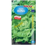 Sałata głowiasta masłowa gruntowa Bona otoczka 50 nasion