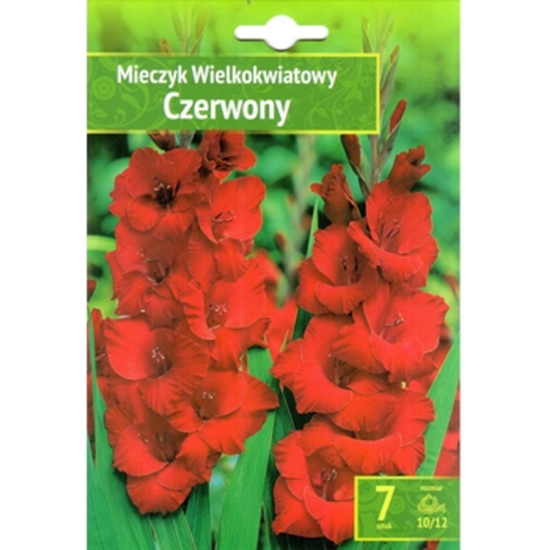 Mieczyk Czerwony Benex 1768511841814-28146-3-tqwqy.png