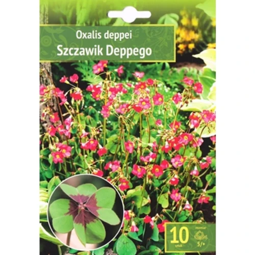 Kapers Oxalis Deppei - Szczwik Deppego 5/+ 10 Szt. 1768511932913-28305-3-7ed73g.png