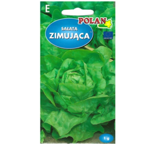 Sałata masłowa gruntowa zimująca 1768512151590-28688-3-8isfkq.png
