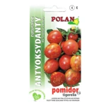 Pomidor gruntowy Tigerella