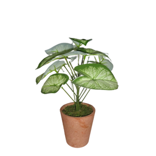 Sztuczna roślina 26,5 cm Comfort Living 1768512304615-28957-3-xc3d6.png