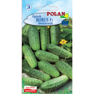 Ogórek Borus Polan
