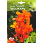 Canna - Paciorecznik pomarańczowy 1 szt Benex