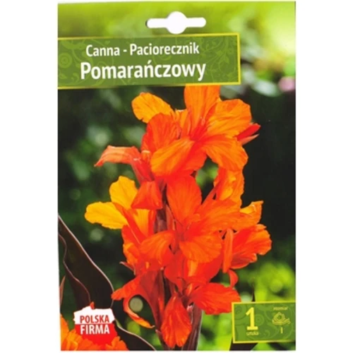 Canna - Paciorecznik pomarańczowy 1 szt Benex 1768512423401-29165-3-a8sdjt.png