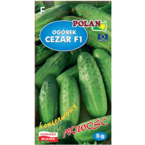 Ogórek gruntowy Cezar - mieszaniec 1768512507024-29323-3-oj2rq7.png