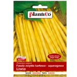 Fasola karłowa Liwia PlantiCo