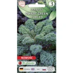 Jarmuż Dwarf Green Curled-zielony 0,5g Seria bazowa Legutko