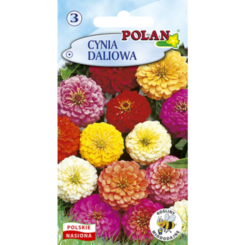 Cynia Daliowa Polan 1768512603427-29479-3-ftvp2q.png