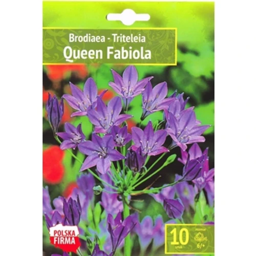 Kapers Brodiaea - Triteleia Queen Fabiola 6/+ 10 Szt. 1768512685437-29610-3-xwdleg.png