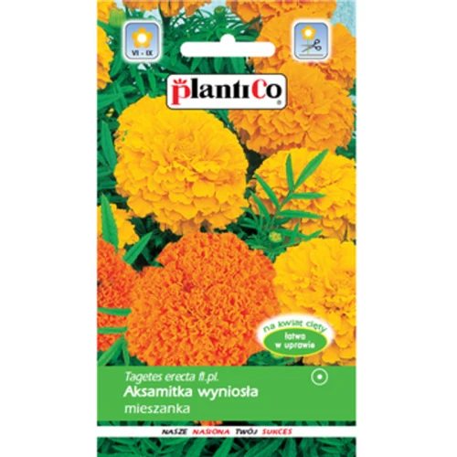 PlantiCo Aksamitka wyniosła mieszanka 1768512796520-29804-3-ec4hhr.png