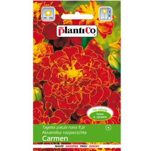 PlantiCo Aksamitka rozpierzchła Carmen 1768512851866-29898-3-2ew8r9.png