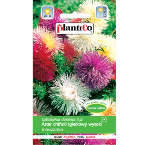 PlantiCo Aster chiński igiełkowy mieszanka 1768512882978-29955-3-6bha5n.png