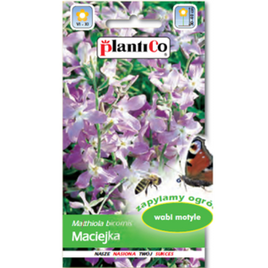 PlantiCo Maciejka