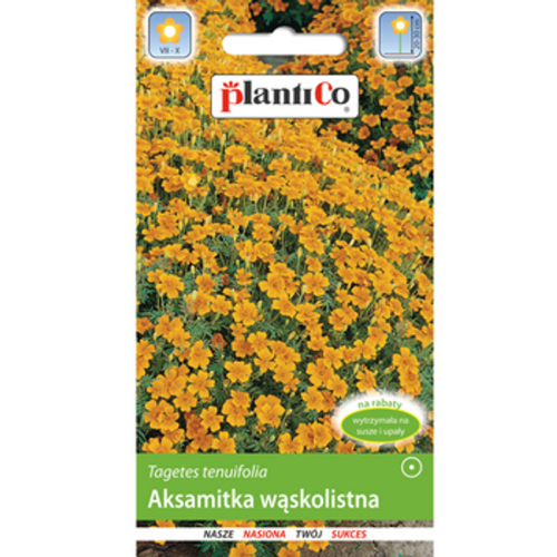 Aksamitka wąskolistna żółta PlantiCo 1768512949961-30062-3-dnewah.png
