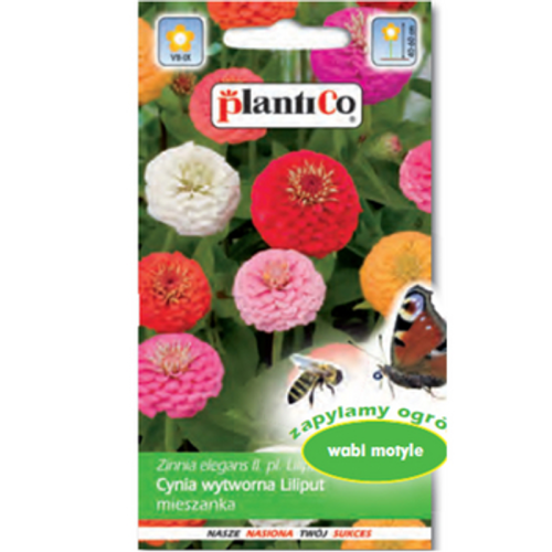 PlantiCo Cynia daliowa Liliput mieszanka 1768512956396-30075-3-qb15yj.png